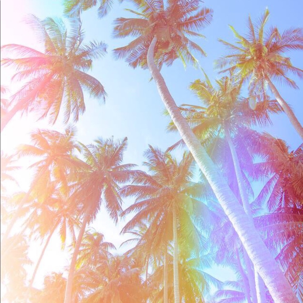 Meet your Posher, Ellen